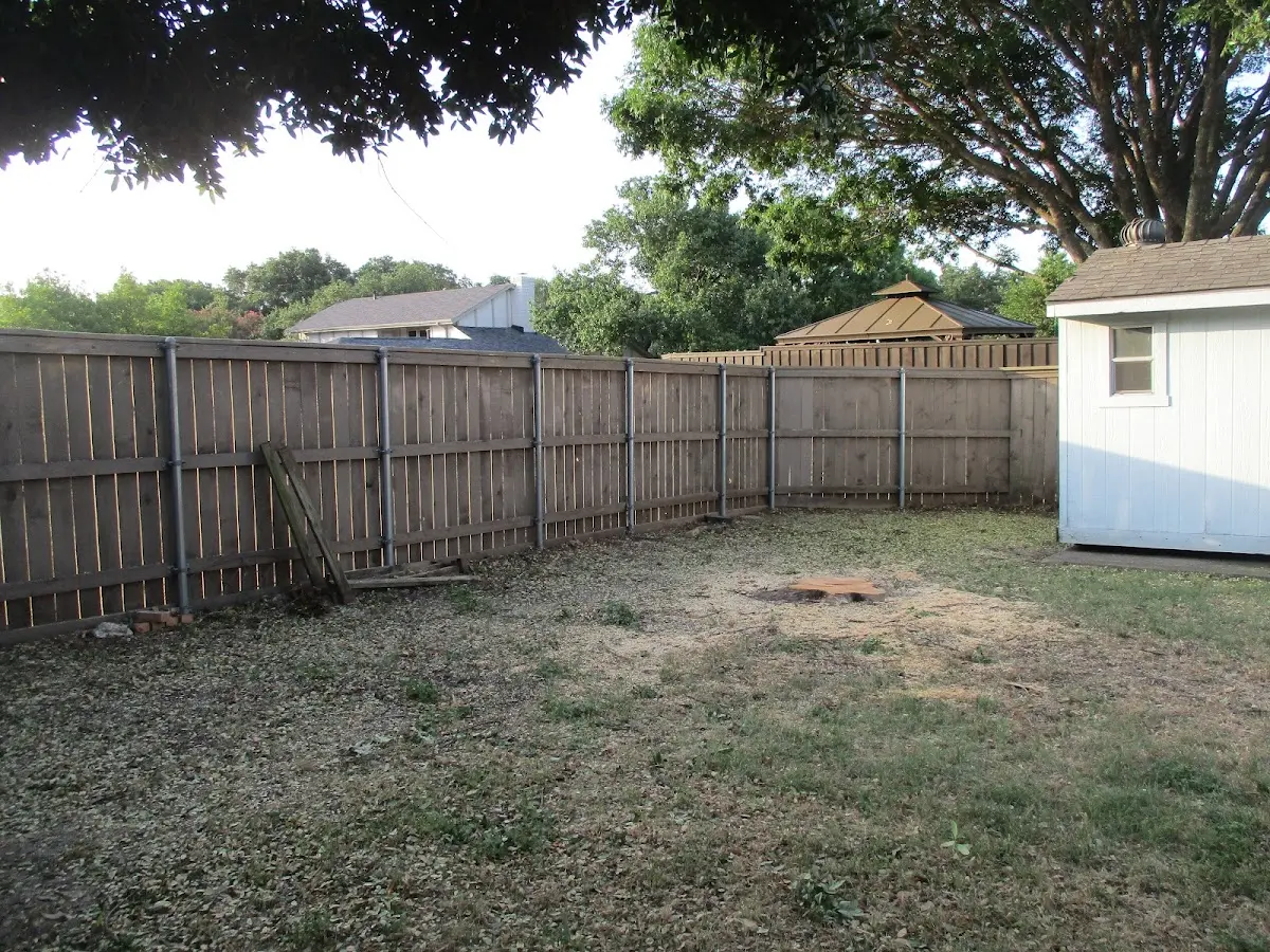 Cleared yard after professional tree removal in Marion